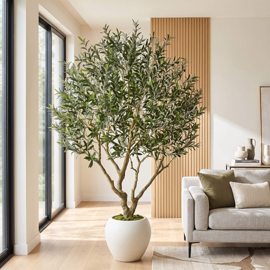 A large potted olive tree with dense green foliage and a light brown trunk, displayed in a modern living room next to a light gray sofa with olive and cream pillows.