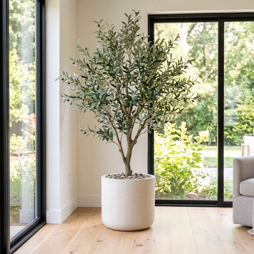 Modern living room with a large window, plant, and furniture.