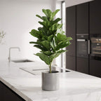 Faux Fiddle Leaf Fig Tree 60cm
