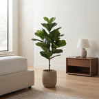 A tall fiddle-leaf fig plant with large green leaves in a beige ceramic pot, placed in a modern bedroom next to a wooden nightstand and lamp.