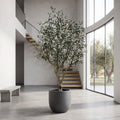 Realistic Large Faux Olive Tree 210cm