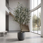 Realistic Large Faux Olive Tree 210cm