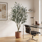 Realistic Large Faux Olive Tree 210cm