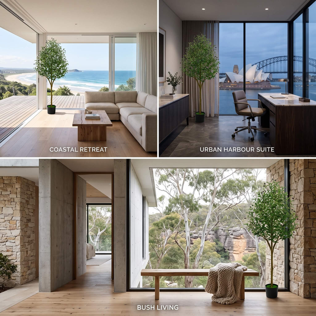 Large faux olive tree in an Australian living room