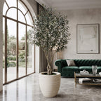 Realistic Large Faux Olive Tree 210cm
