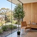 Realistic large faux olive tree 180cm in a pot