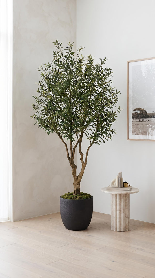 A room, not a product