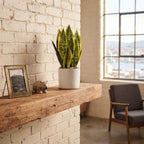 Faux Snake Plant Tabletop Sansevieria 35cm