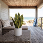 Faux Snake Plant Tabletop Sansevieria 35cm