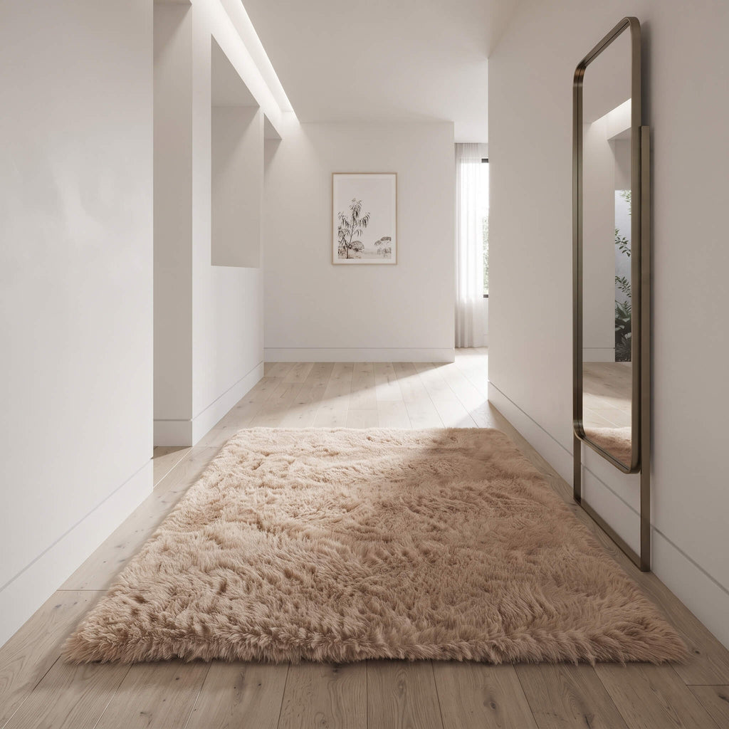 Plush shaggy carpet softening a hard floored hallway