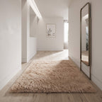 Plush shaggy carpet softening a hard floored hallway