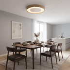 Round Oyster Ceiling Light