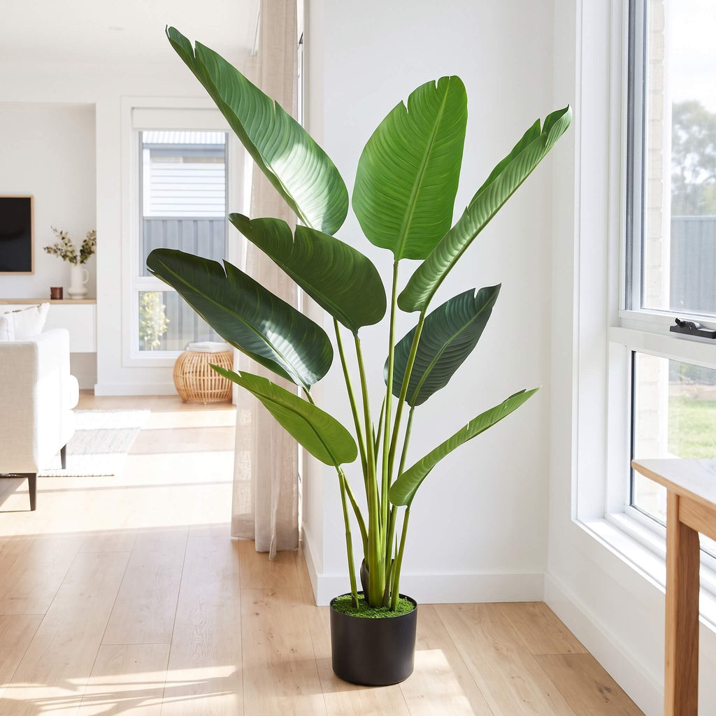 Faux bird of paradise floor plant 120cm in black pot with moss detail, styled in bright living room beside window