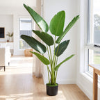 Faux bird of paradise floor plant 120cm in black pot with moss detail, styled in bright living room beside window