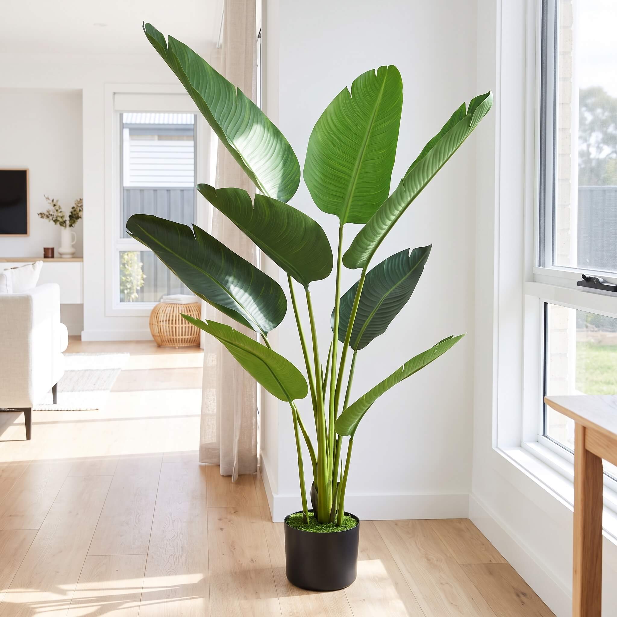 Faux bird of paradise floor plant 120cm in black pot with moss detail, styled in bright living room beside window