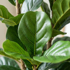 Realistic Faux Fiddle Leaf Fig Tree 150cm