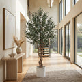 A tall potted olive tree with green leaves stands in a bright, modern interior hallway with wood floors, large windows, a console table, and a staircase in the background.