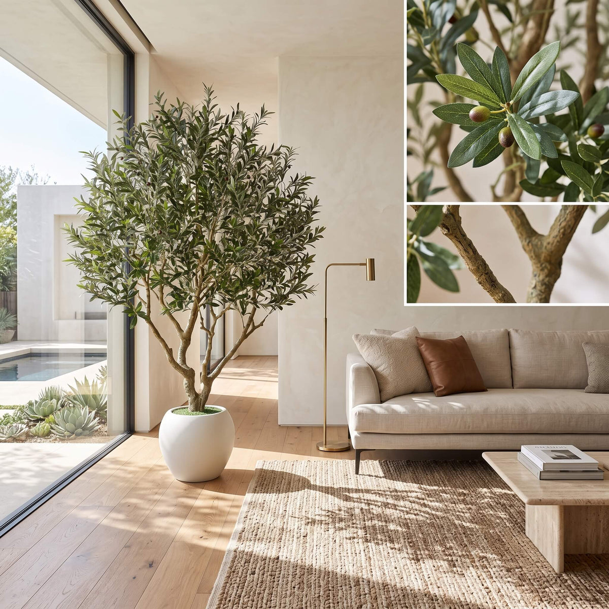 A large potted olive tree in a modern living room setting with a beige sofa, wooden floor, and woven rug, with two inset close-up images showing detailed leaves and branches of the olive tree.