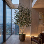 Realistic Large Faux Olive Tree 210cm