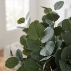 Faux Eucalyptus Stems