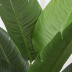 Faux Bird of Paradise Floor Plant 120cm