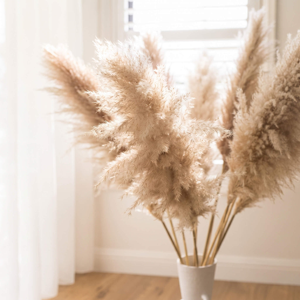 Dried pampas grass in a white ceramic vase, set in a bright, softly lit room with a window and wooden floor.