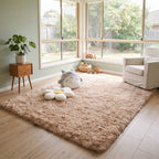 Plush shaggy area carpet in a bright sunroom