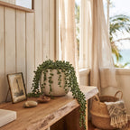 Faux String of Pearls Hanging Plant 40cm