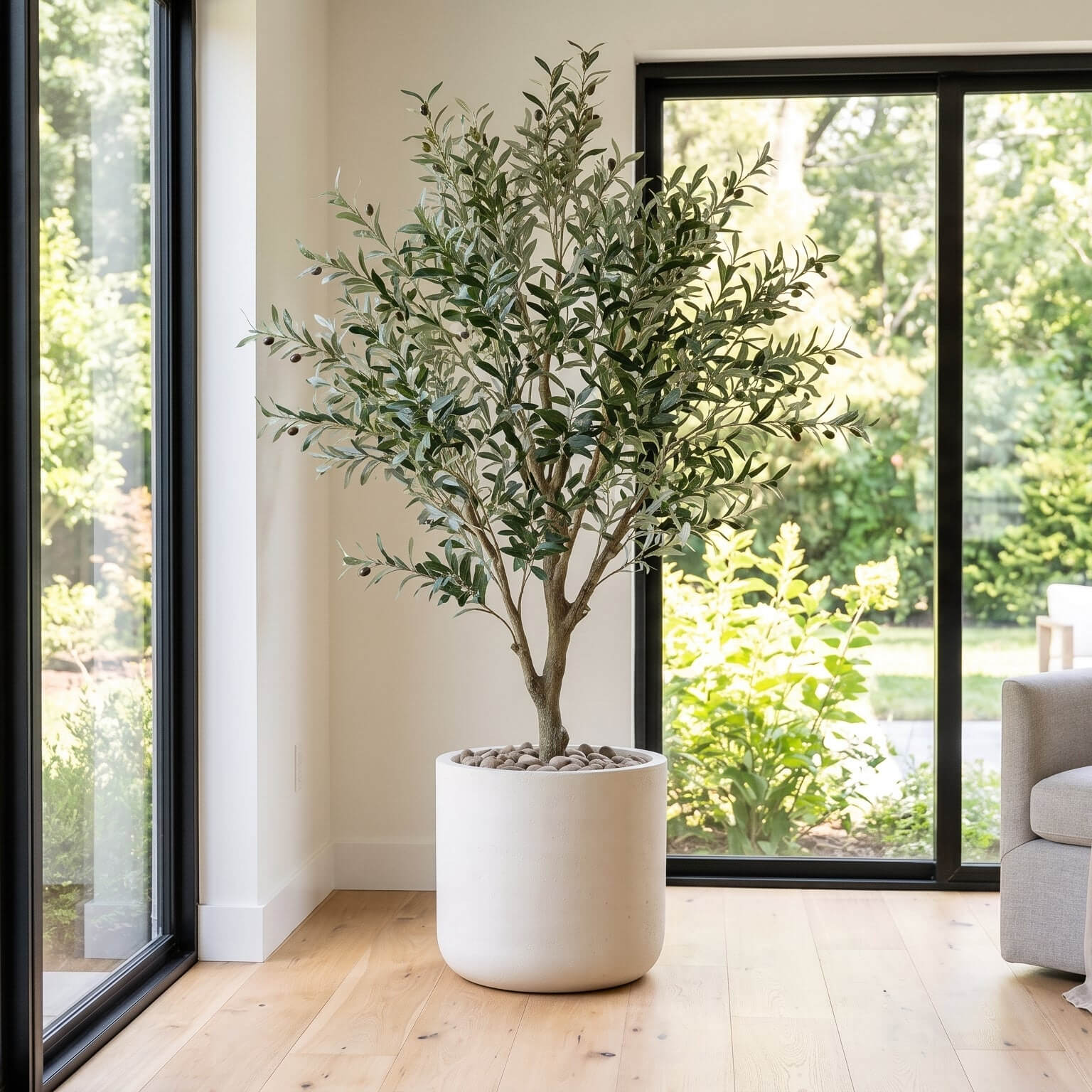 Potted plant in a room with large windows showing greenery outside