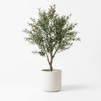 An artificial olive tree with dense, silvery-green leaves and brown branches, potted in a minimalist white cylindrical planter against a clean white background.