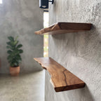 Camphor wood floating shelves styled with ceramics in a living room