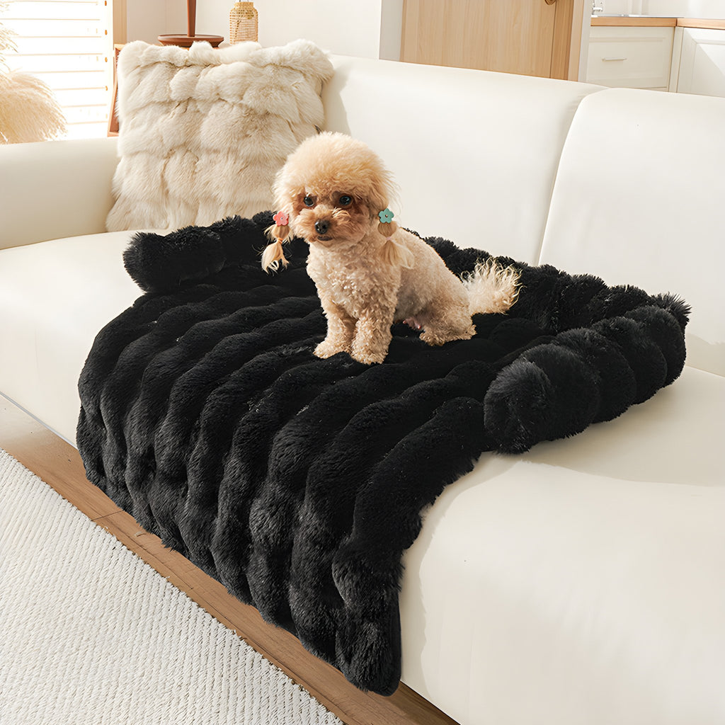 Black plush faux fur pet sofa mat on a cream sofa with a small dog sitting on it