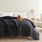 Black quilted waterproof bed cover on a bed with a golden retriever lying on top